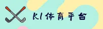 使用指南与常见问题
